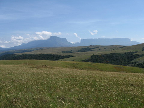 kukenan和Monte羅賴馬特普伊山