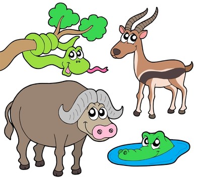 動物