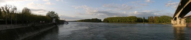 rheinpromenade蠕蟲