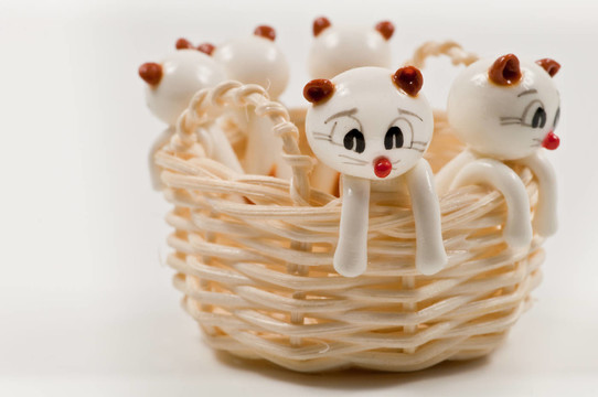 小貓在籃子里