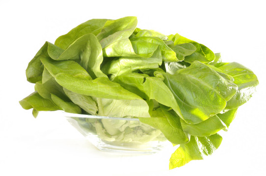 生菜