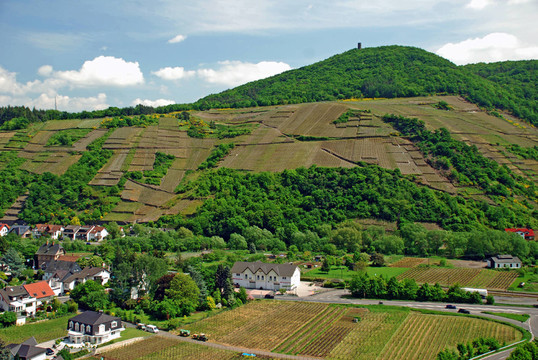 dernau在AHR