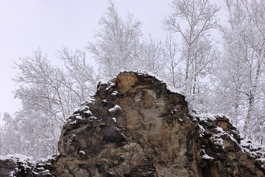 大興安嶺森林雪景