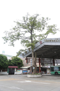 寶墨園 紫泥汽車站