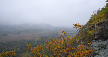 金秋山峰遠(yuǎn)方