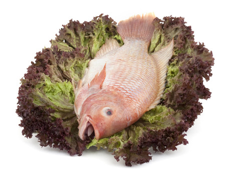 涼拌羅非魚
