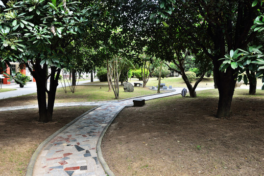 園林 小道 林蔭小道 陽光小道