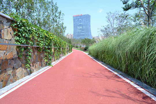 體育公園