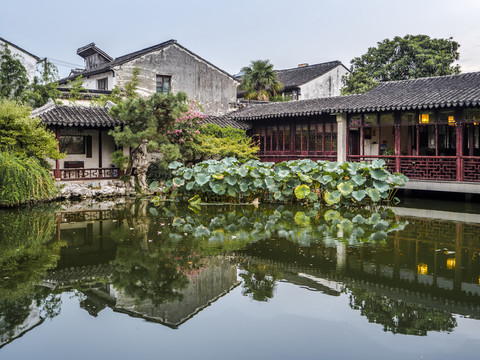 傍晚時分的藝圃園