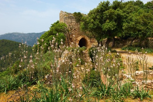 burgruine