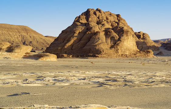 albarqa 5