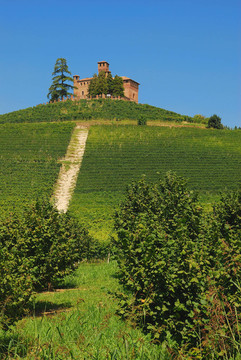 piedmont的釀酒廠