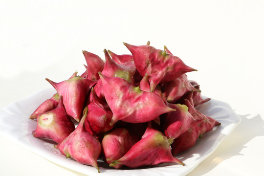 紅菱
