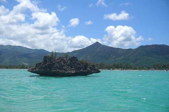 毛里求斯海豚灣