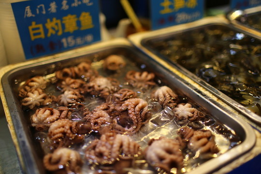 廈門小吃白灼章魚