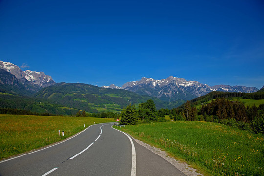 山