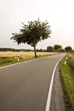 landstrasse