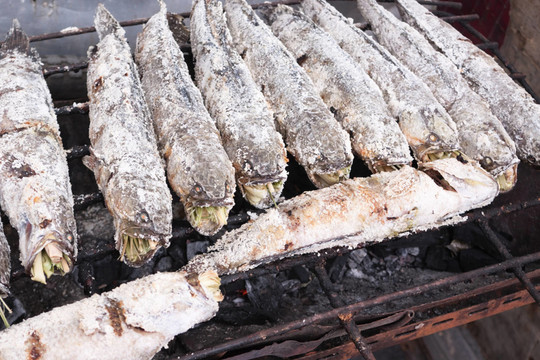 魚