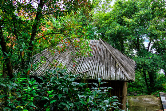 民宿小屋 樹木小屋