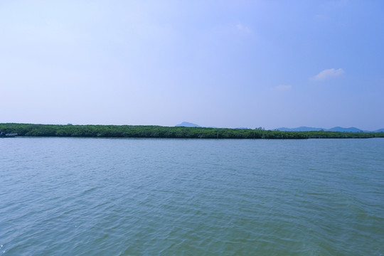 紅樹林 程村