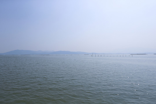 紅樹(shù)林 程村
