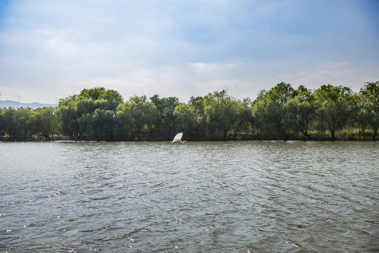 濕地公園