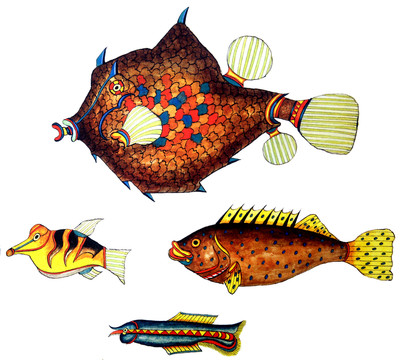 手繪插畫魚
