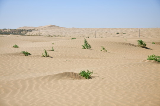 沙漠