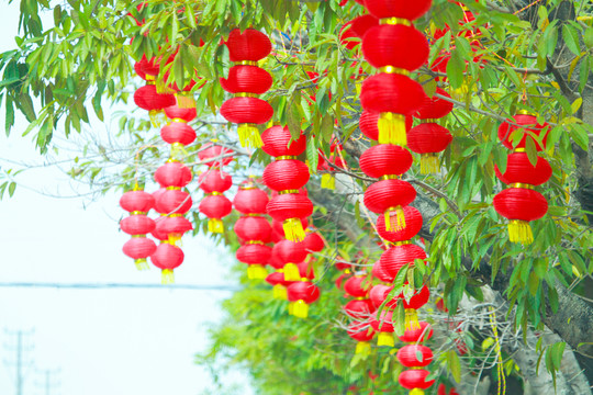 燈籠