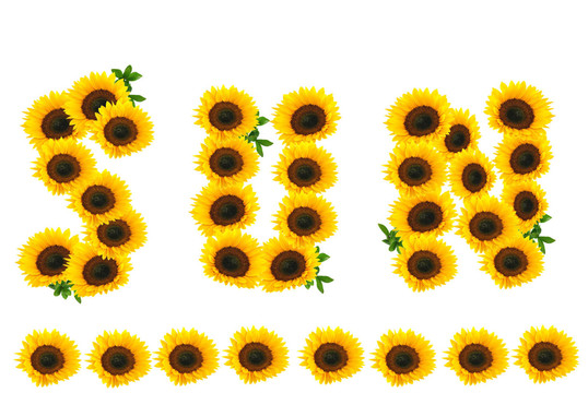 太陽