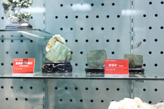 安徽省地質(zhì)博物館 博物館 地質(zhì)