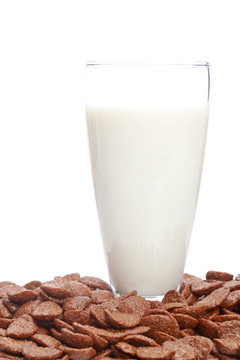 杯