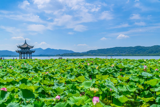 西湖風(fēng)光