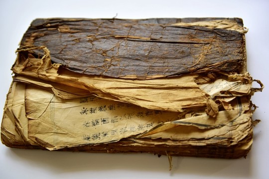 古典書籍族譜