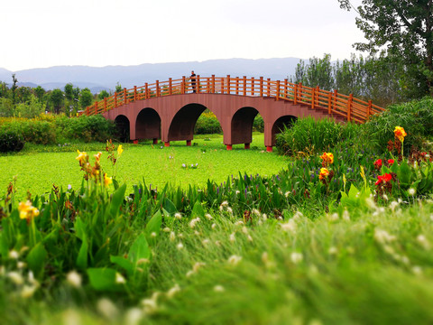 木橋 唯美 花叢 小河 拱橋