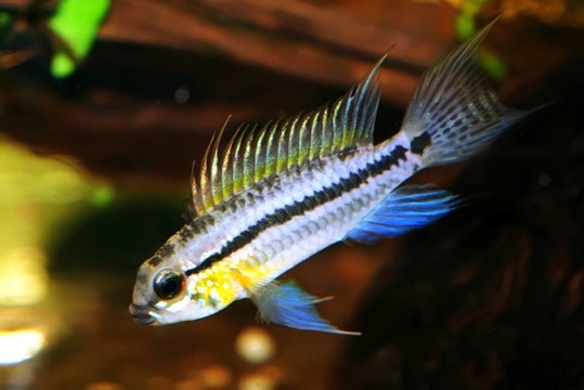 水族館