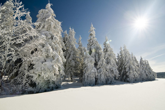 winter200913