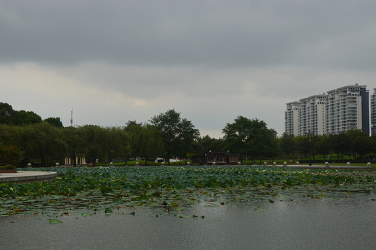 湖邊建筑群