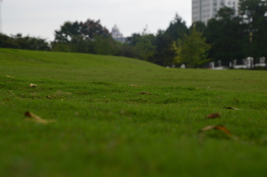 草場