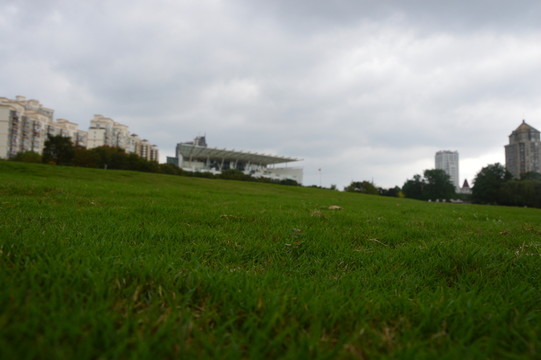 草場