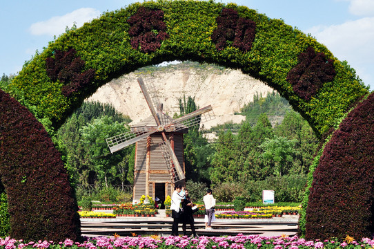 菊花展園藝