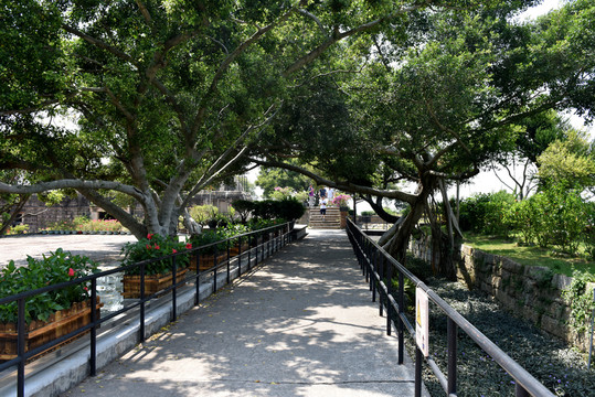小徑 小路 曲徑 散步 園林