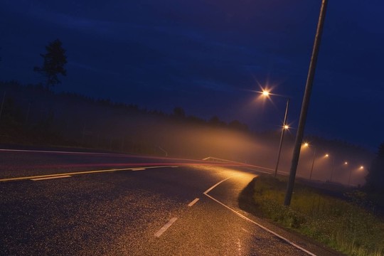 樹