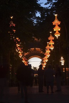樹(shù)