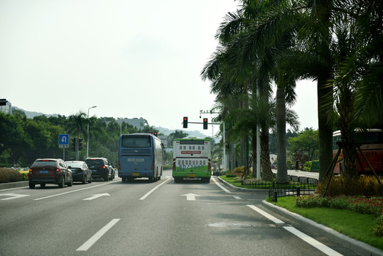 公路 海濱 沿海公路 海濱大道