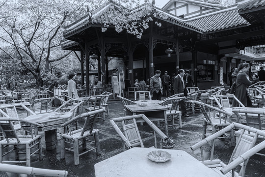 成都老茶館