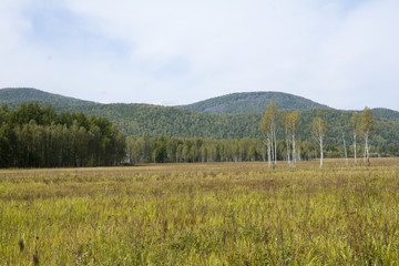 遠(yuǎn)山樹林草地
