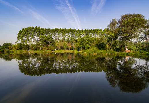 湖泊 樹林