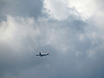 低空飛行