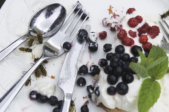 food